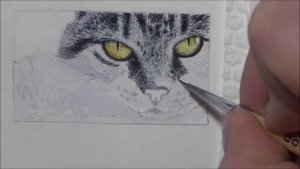 кошка/РИСУЕМ КОШКУ АКВАРЕЛЬЮ/РИСУНОК КОШКИ/РЕАЛИЗМ/УЧИМСЯ РИСОВАТЬ/