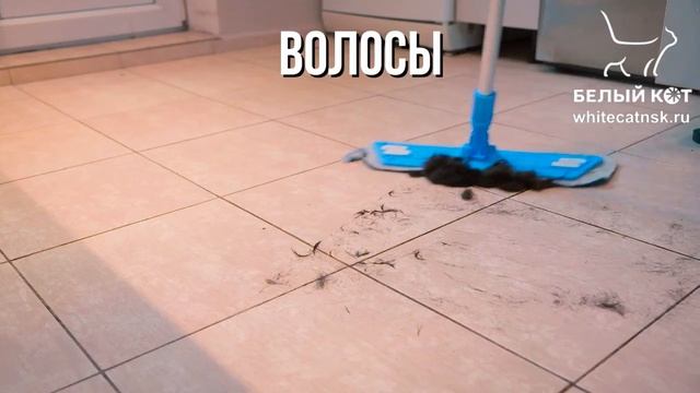 Швабра Белый Кот whitecatnsk ru смотреть онлайн