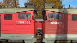 Тепловозы 2ТЭ116-1443, 2ТЭ116-1308 и 2ТЭ116-1394, станция Волоколамск