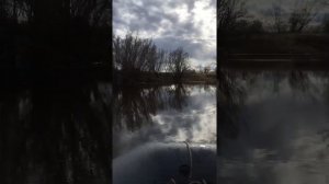 Лодка патриот оптима 280 и мотор сиапро 5