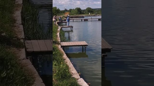 рыбалка рыбалка в подмосковье карп ловля карпа суперкарп белеутово karp fishing