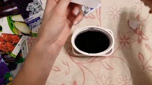 Как вырастить СТАХИС, он же чистец, он же овечьи  уши