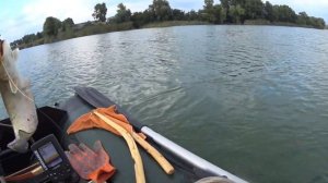 Сом.Квок.Рыбалка на квок. 14 09 2022 год