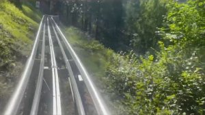 Alpine coaster #Bardonecchia