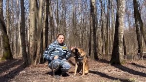 Как научить собаку команде «фу» , что делать, что бы собака не подбирала еду, команда фу