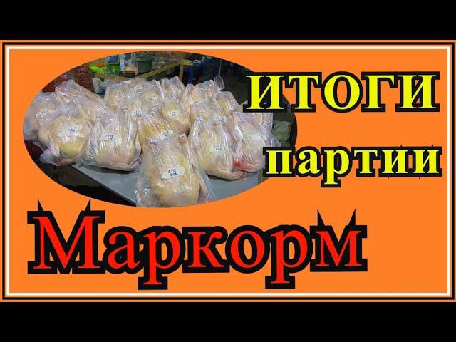 Забой бройлера. Комбикорм от Маркорм. Сколько заработали на партии?