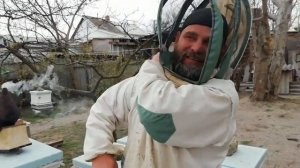 Что делать когда матка не сеет