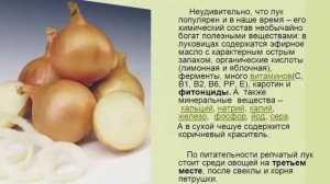 Луковая шелуха. Полезные свойства