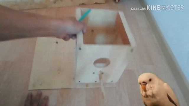 Как Сделать Гнездо, Домик Для Попугаев И Что Класть Туда?! 2019 Make A Nest A House FOR Parrots