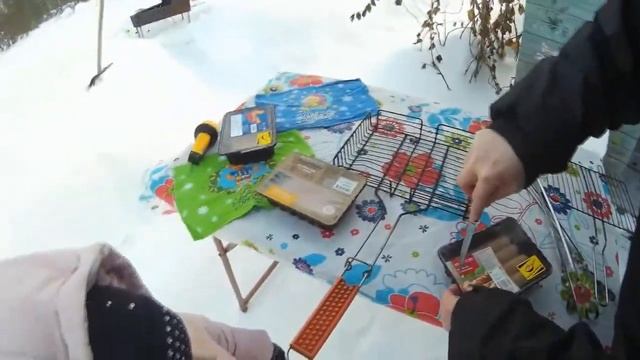 ВЛОГ едем на дачу, жарим чевапчичи , смотрим курочек и играем с цыплятами смотреть онлайн