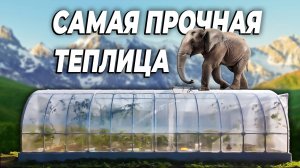 Эта теплица выдержит даже СЛОНА!