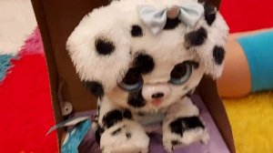 Моя новая собачка! Игрушка Present Pets Щенок Далматинцы.