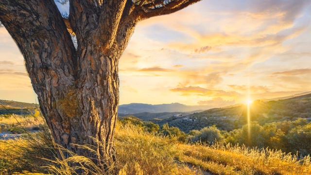PSALM 139🔥"SEARCH ME, O GOD"♥️@ariseshine.isaiah601miracl4