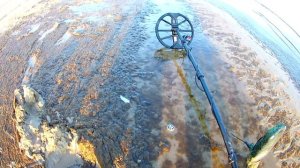 Эквинокс 800. Как отличить пробку на пляже . А это работает.