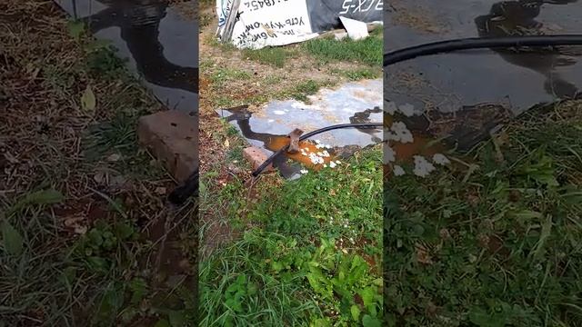 Чистка скважины Чусовской тракт 3 смотреть онлайн