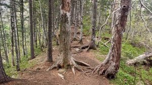 Гора Фалаза , Приморский край, Анисимовка #поход#горы#приморскийкрай#фалаза#