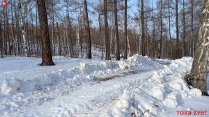 Квадроцикл СФ Мото-500А с отвалом,"ковшом".Толкаю сугробы,перемёты в горах