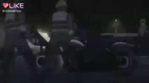 Джузо Сузуя - не я нормальный просто немного ненормальный