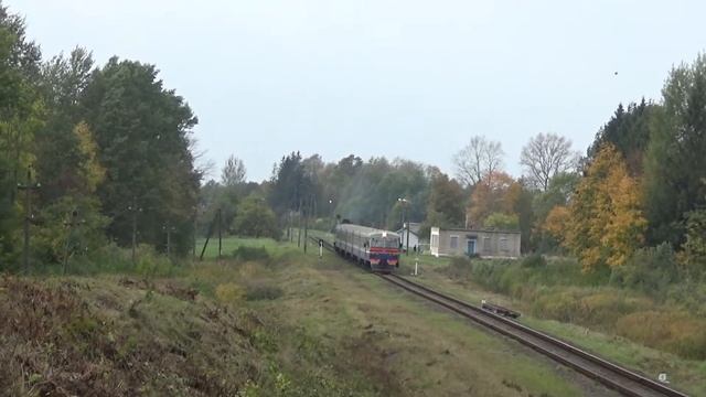 Пригородный дизель-поезд ДДБ1-010 №6628 Поставы → Полоцк на перегоне Воропаево — Глубокое смотреть онлайн