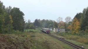 Пригородный дизель-поезд ДДБ1-010 №6628 Поставы → Полоцк на перегоне Воропаево — Глубокое