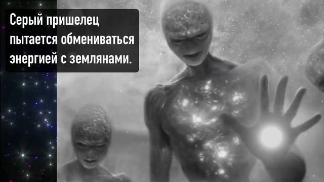 Раса Серых пришельцев