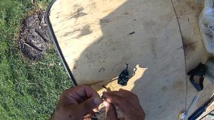 Бюджетная ловля на бойлы.Горох)))