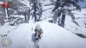 Карта сокровищ "Большие надежды" (RDR2) где найти!