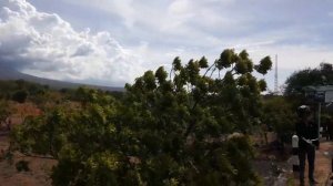 Gunung Agung, Bali.