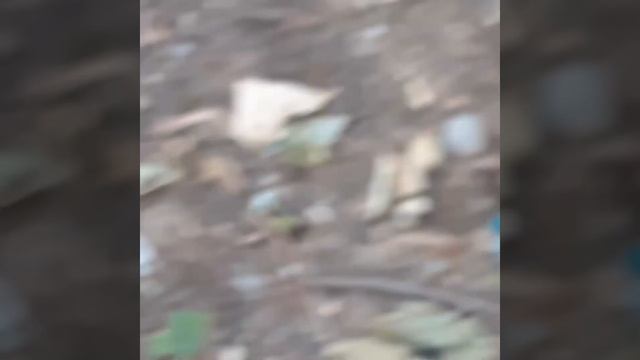 Утренний Симферополь смотреть онлайн