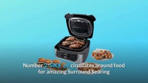 Ninja Foodi AG301 5-in-1 Indoor Electric Countertop Grill with 4-Quart Air Fryer Review