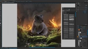 Koala's Downfall | Speed Art (photoshop)