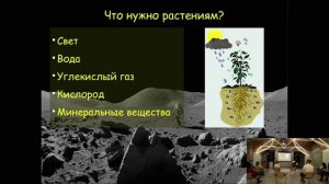 13. Что нужно для культивирования растений. Лекция