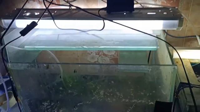 убираю старый аквариум смотреть онлайн