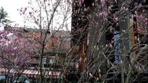 Даниил Новиков   Город влюбленных людей