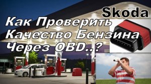 Skoda: Проверяем Бензин Через OBD (2023)