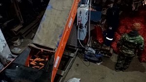 Взвешивание и упаковка овощей (моркови, картофеля, лука) в сетку на завязках.