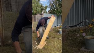 У каждого своя работа… | Андрей Лунёв