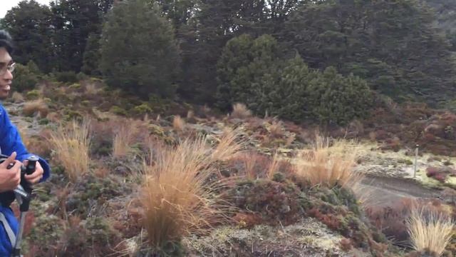 Great Walks-Tongariro Northern Circuit Day 1 смотреть онлайн