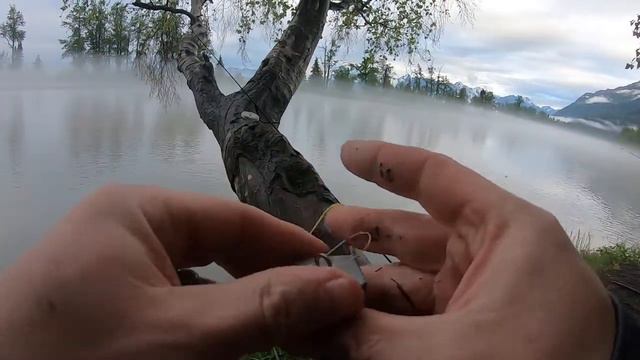 (LIVE) Chinook fishing in Alaska! смотреть онлайн