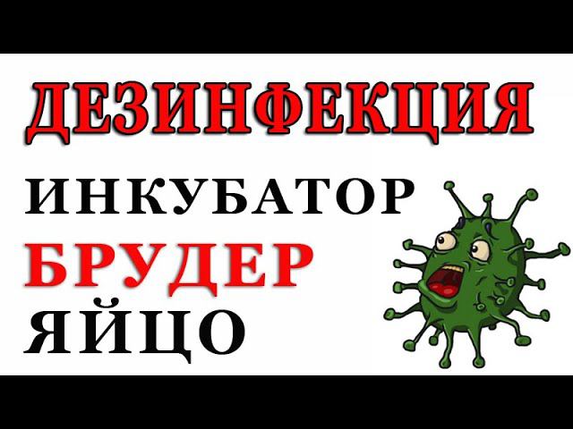 ДЕЗИНФЕКЦИЯ брудеров, инкубаторов и яйца