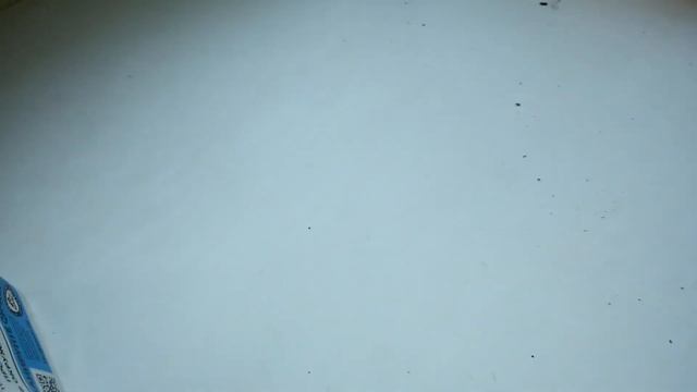 Малина красная размножение черенкованием в домашних условиях всходы.Муся котенок проверяет всходы смотреть онлайн