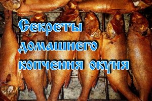 Секреты домашнего копчения окуня.avi