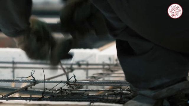Домостроительный комбинат - Древо