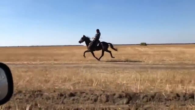 Шаман иноходец смотреть онлайн