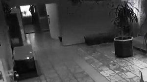 Путешественник во времени