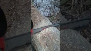 Победитовая цепь
