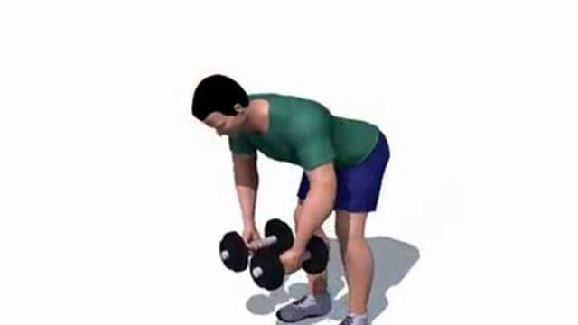 Разведение рук с гантелями в стороны стоя в наклоне смотреть онлайн