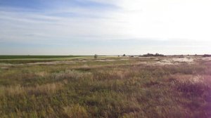 Опустевшая деревня Евгеньевка, Аткарский район