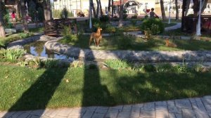 Анапа, отель "Довиль", часть 1