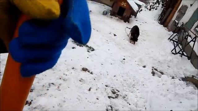 Обзор лопаты для уборки снега Fiskars SnowXpert 143001 смотреть онлайн